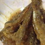 ハゼの保存方法、焼き干しの作り方と甘露煮を圧力鍋で作るレシピ