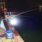 千葉県富津新港で車横付けでサビキ釣りアジの夜釣りの釣果と釣り場情報