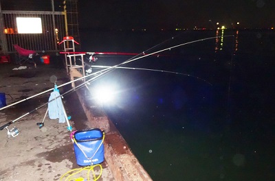 夜釣り海に点燈