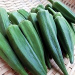 オクラの食べ方は生?レンジでチンする時間は?栄養は変わらないの?