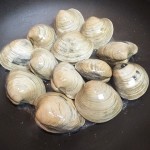 ホンビノス貝の保存方法は冷蔵庫と冷凍保存で何日大丈夫?貝出汁も