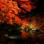 椿山荘の紅葉の見ごろの時期とライトアップとアクセスのいい最寄り駅