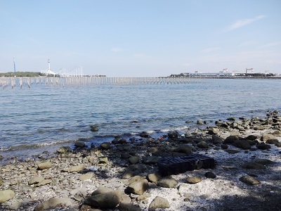 横浜野島公園の潮干狩り穴場ポイントと貝の種類、駐車場の ...