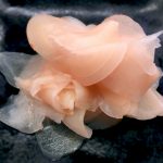 お寿司のガリの作り方簡単レシピ!新生姜の甘酢漬けをピンクにする方法