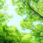 小満の読み方や意味!時期や小満の候を使った挨拶文の例文