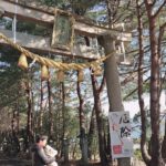 福井県敦賀市「常宮神社」の初詣に行きました!元旦の混雑具合や駐車場